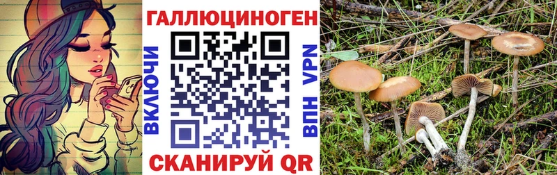Галлюциногенные грибы мухоморы  Купить где  Новочебоксарск 